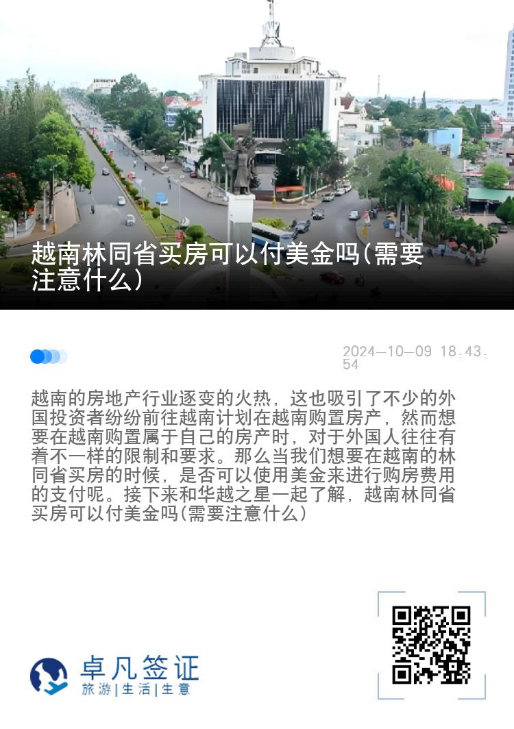 越南林同省买房可以付美金吗(需要注意什么)